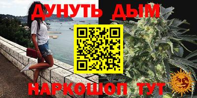 стафф Донецк