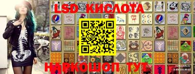 кокс Донской
