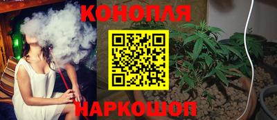 Альфа ПВП Дубна