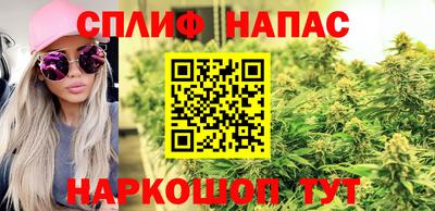 спиды Гусев