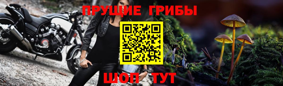 Михайловка  Галлюциногенные грибы Psilocybe  Вход с VPN  Псилоцибиновые грибы мухоморы 