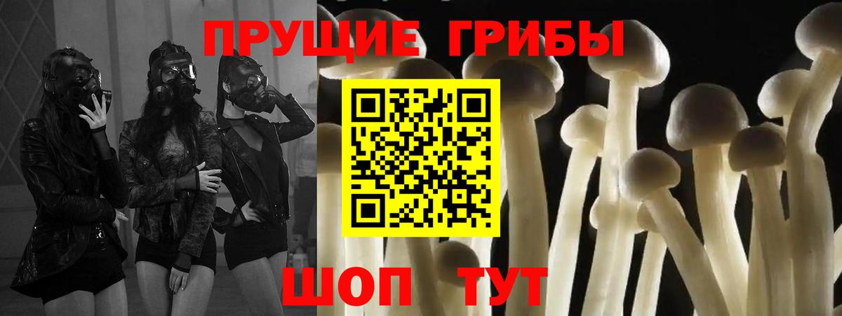Псилоцибиновые грибы прущие грибы Михайловка