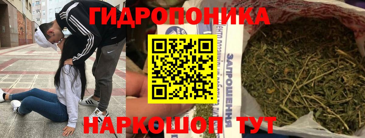 Марихуана White Widow  Бошки Шишки SATIVA & INDICA  Марихуана индика  Михайловка  Вход с VPN 